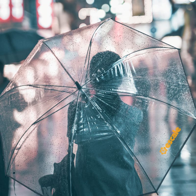 Clear Umbrella_4.jpg